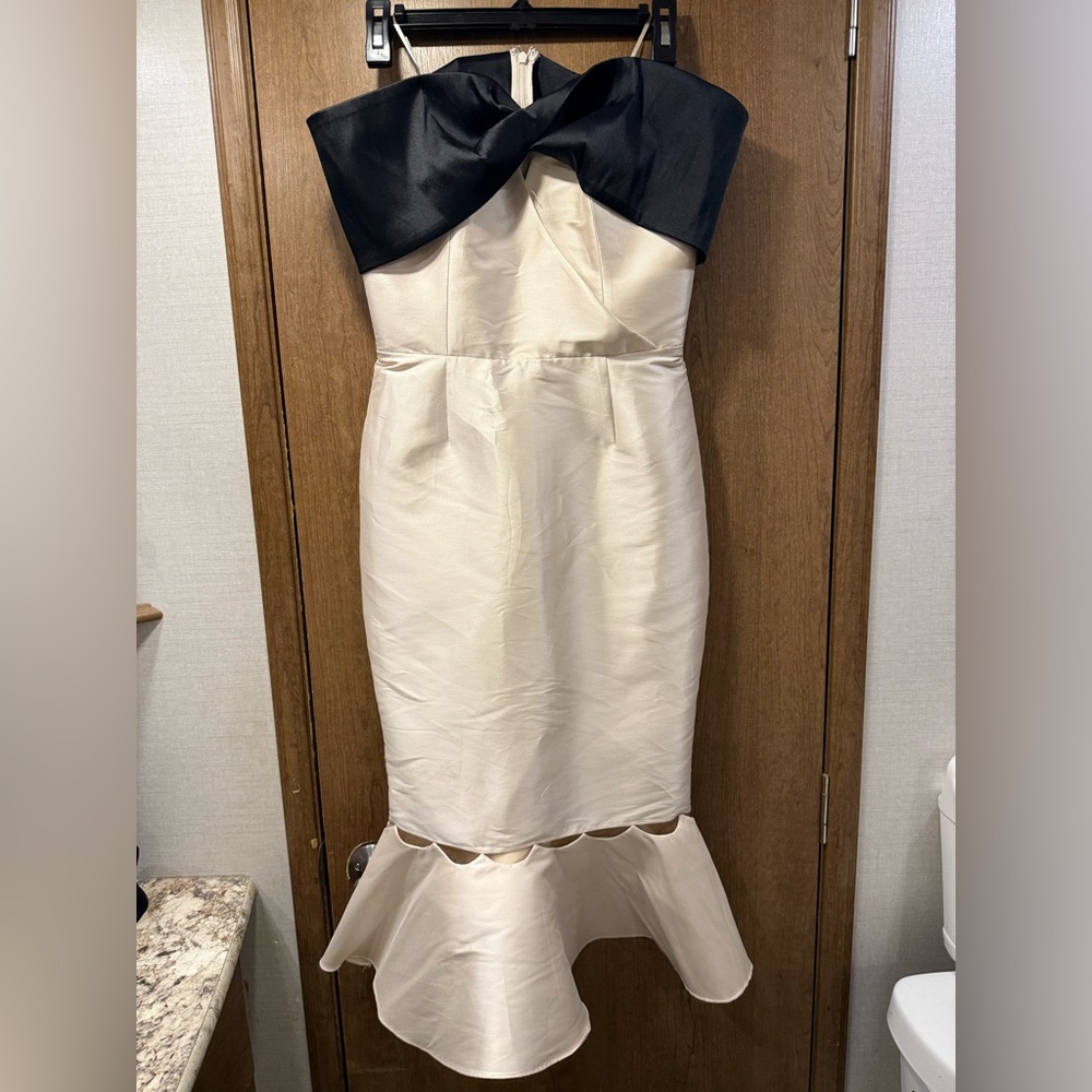 Sachin + Babi Cream and Black Dress